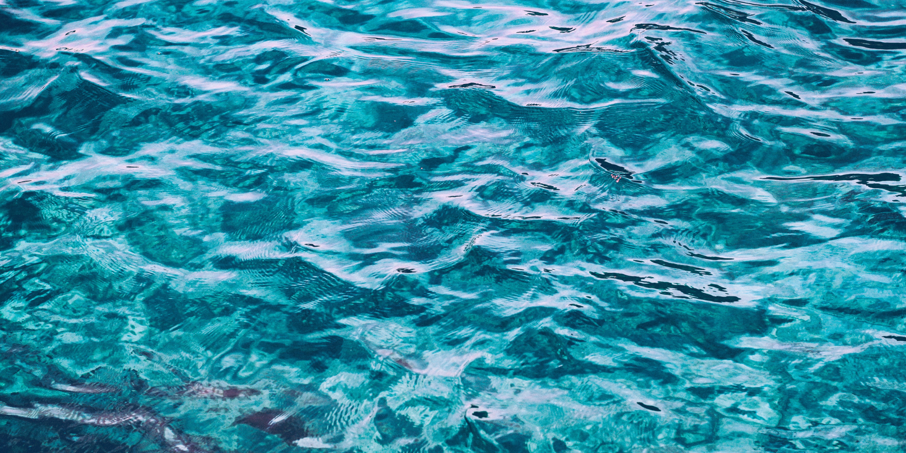 Herbal Power Sea Moss