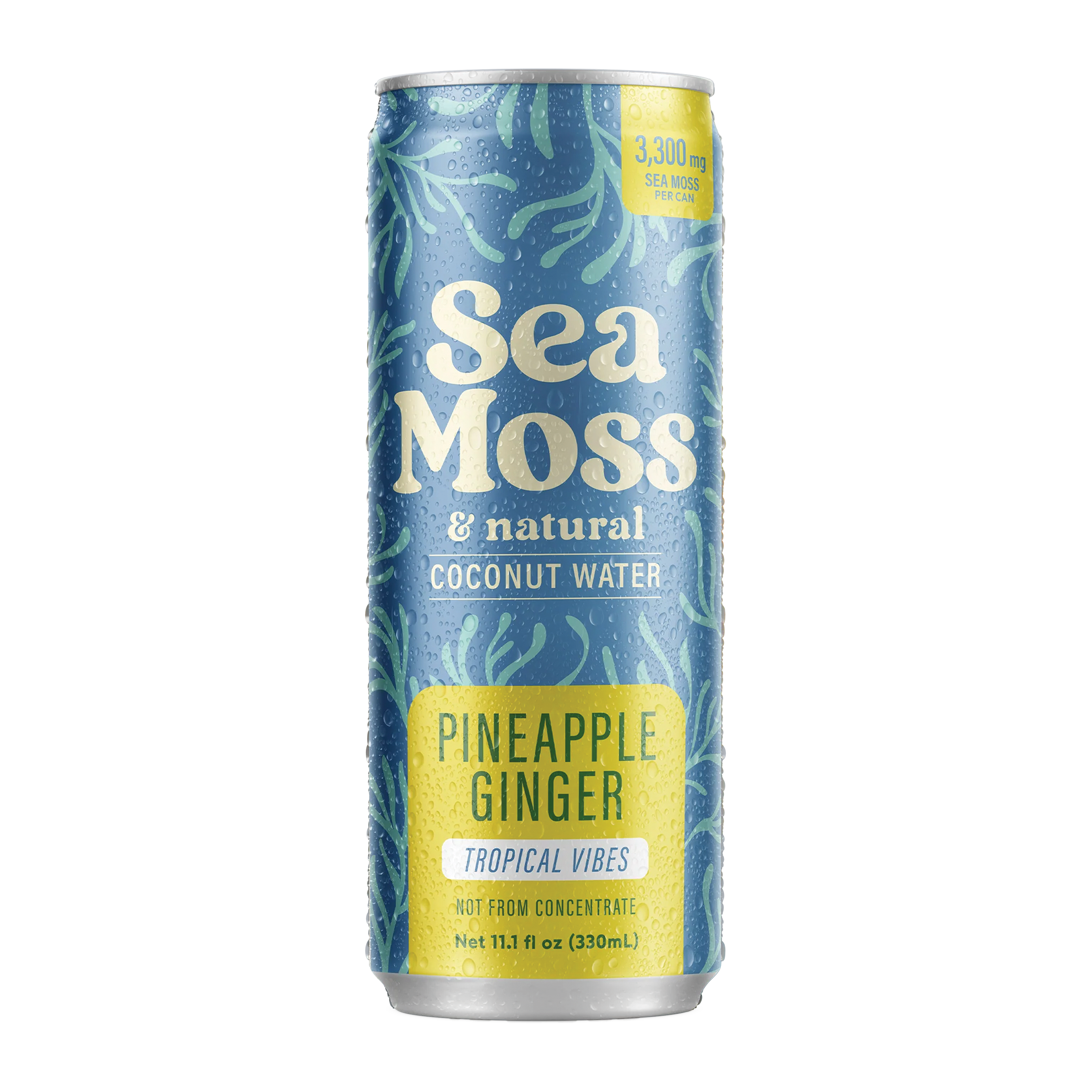 Sea Moss Coconut Water- Pineapple Ginger | 12-Pack | Not from Concentrate | No Added Sugar, Vegan, 3,300mg Wild-harvested Sea Moss, Electrolyte Hydration