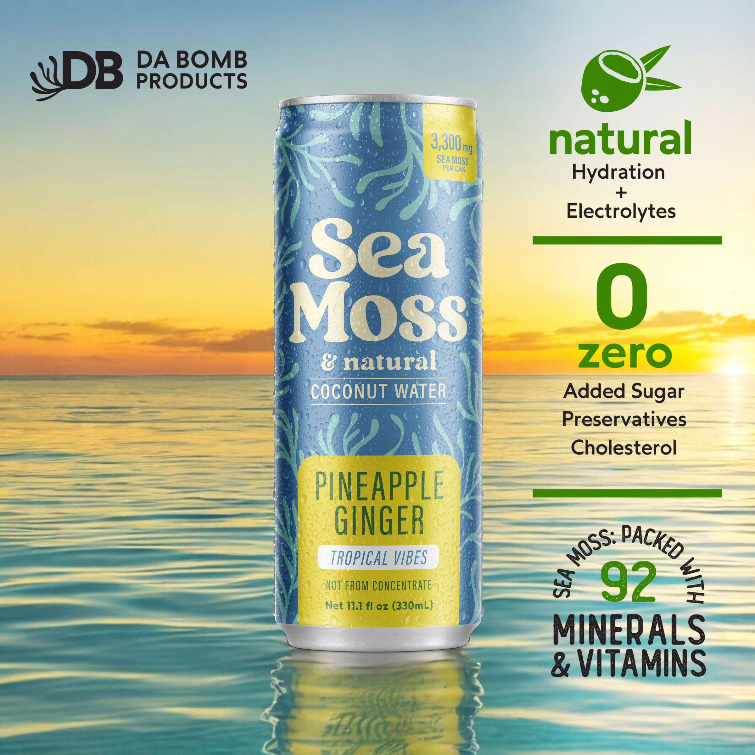 Sea Moss Coconut Water- Pineapple Ginger  | 12-Pack | Not from Concentrate | No Added Sugar, Vegan, 3,300mg Wild-harvested Sea Moss, Electrolyte Hydration